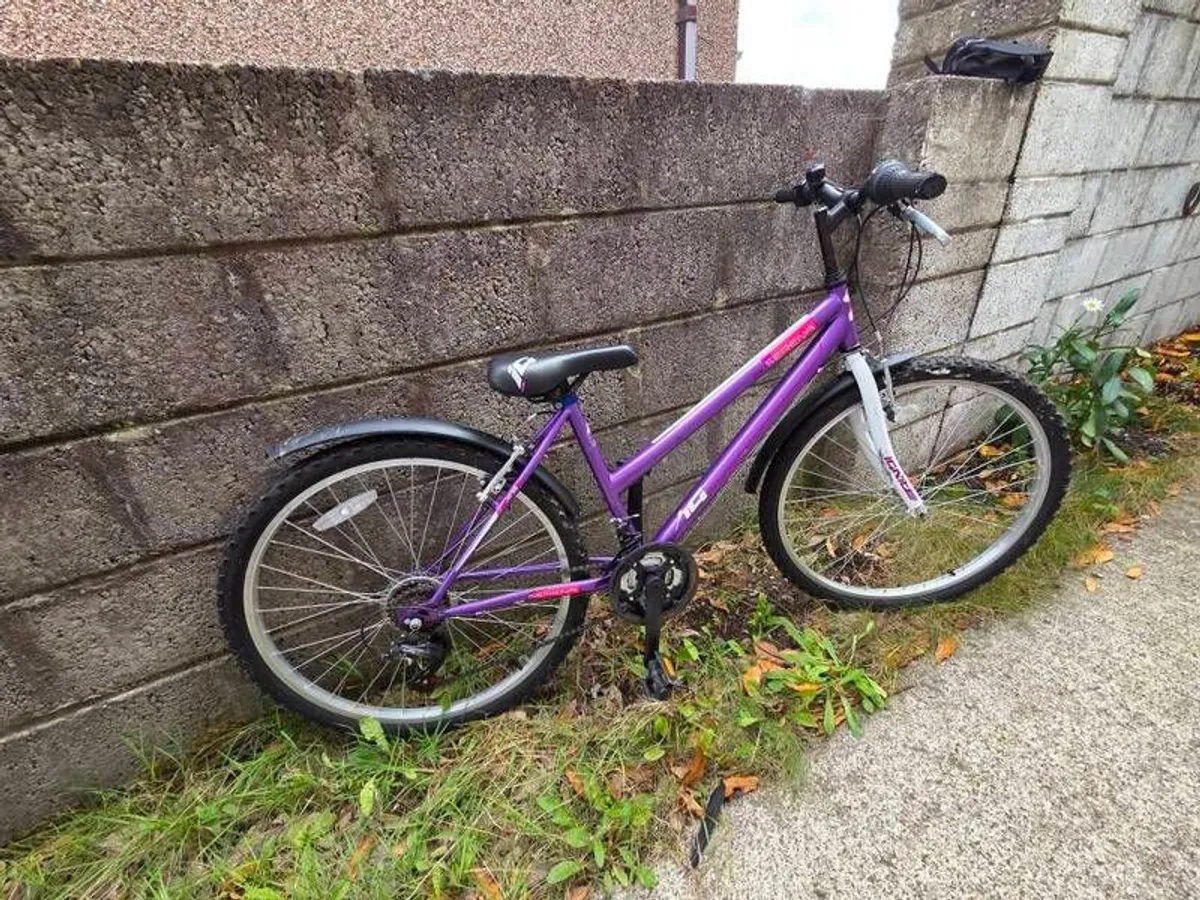 Acorn Serena Bike, 18 Speed - Image 3