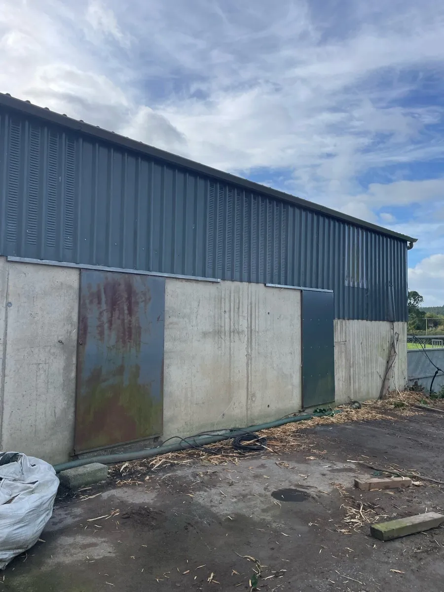 Shed - Image 2
