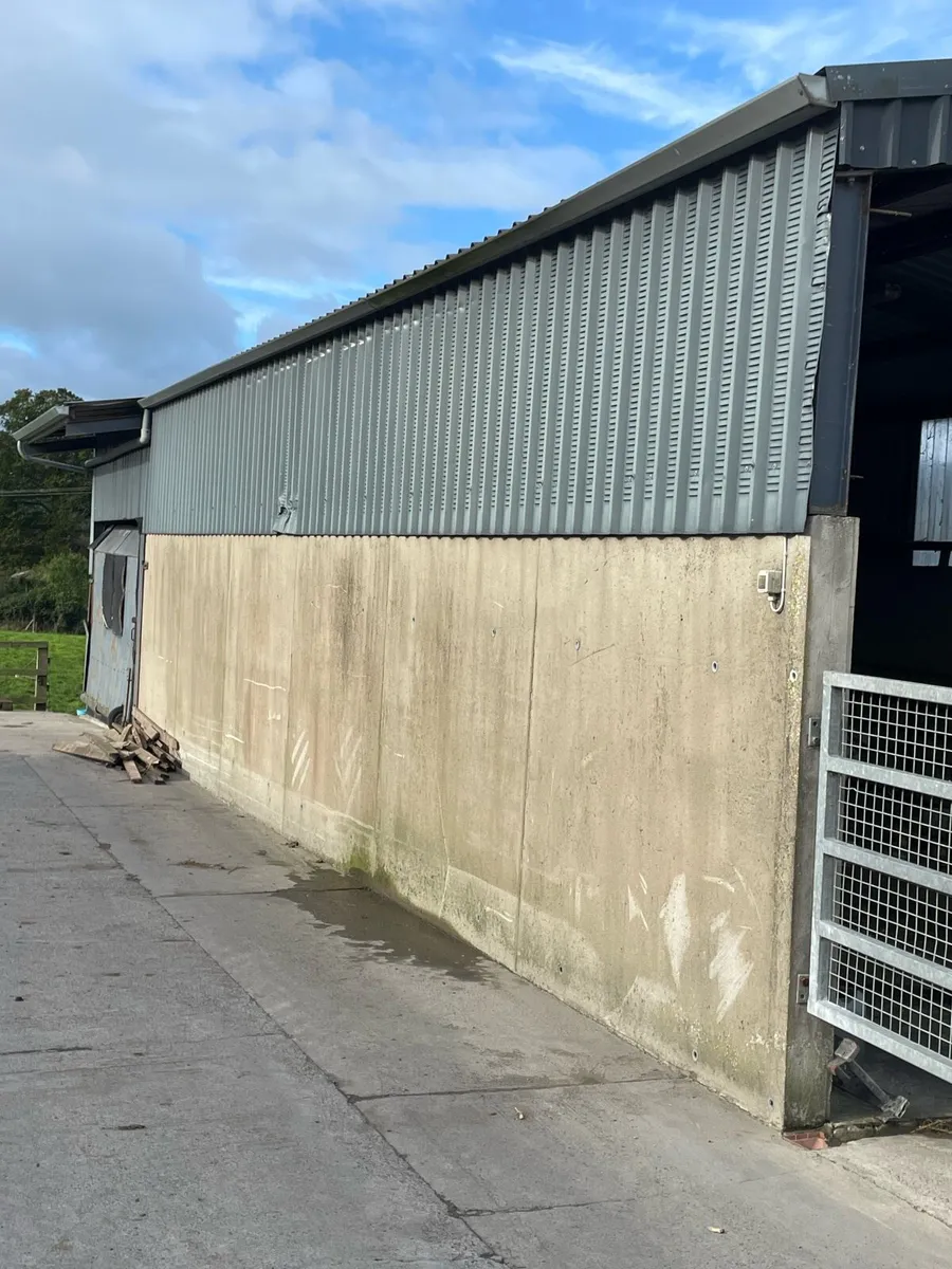 Shed - Image 3