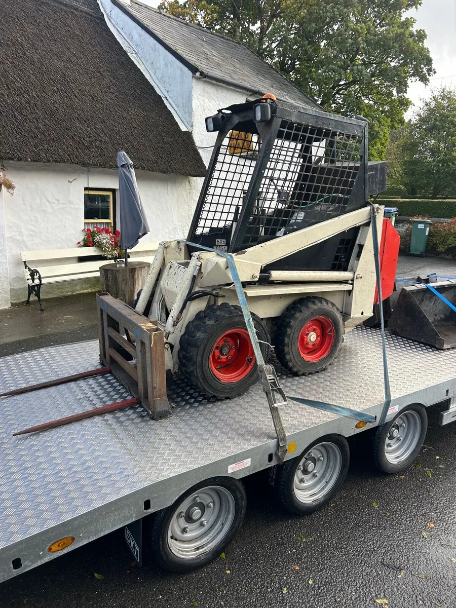 Bobcat for sale - Image 1