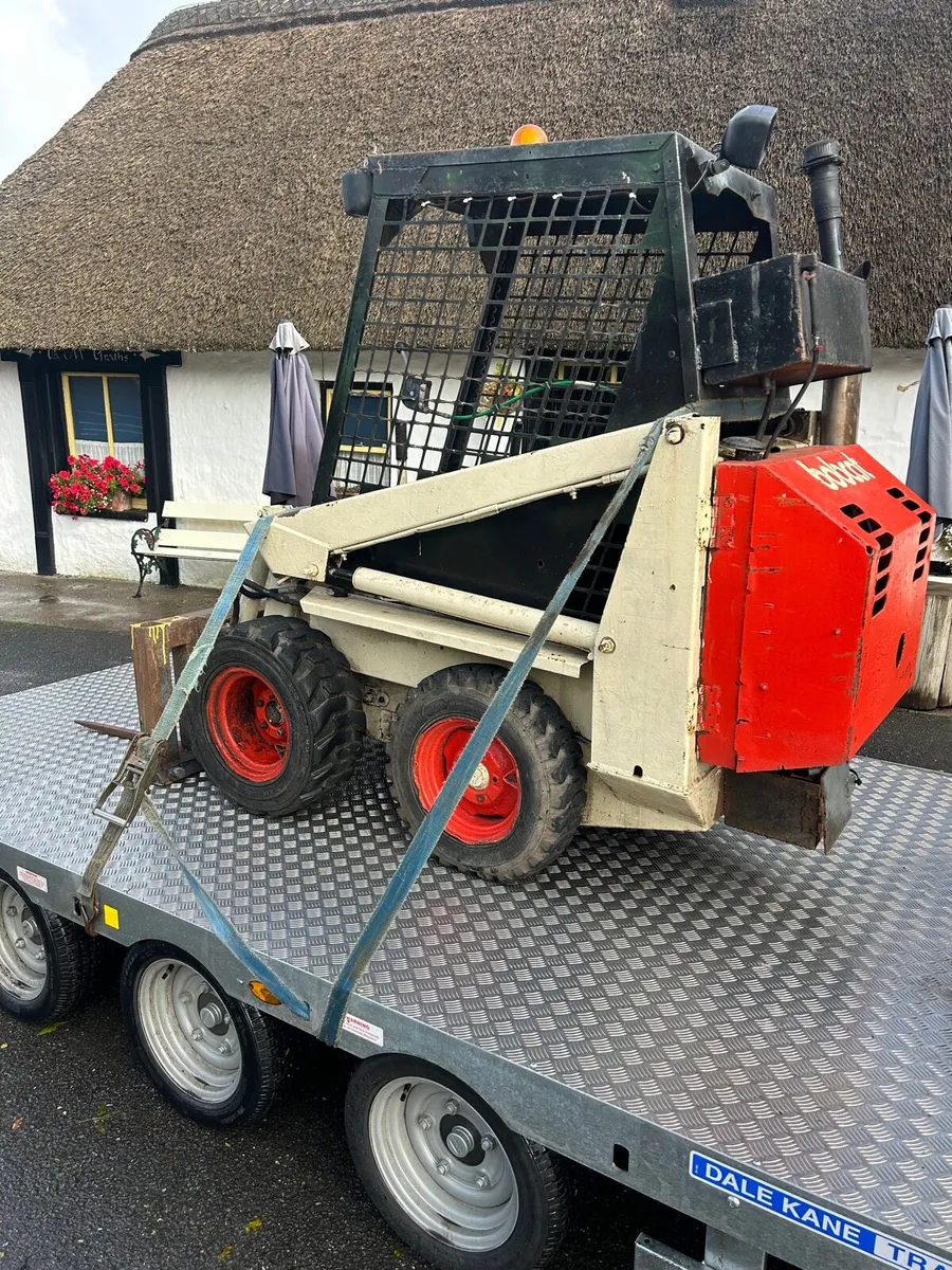 Bobcat for sale - Image 3
