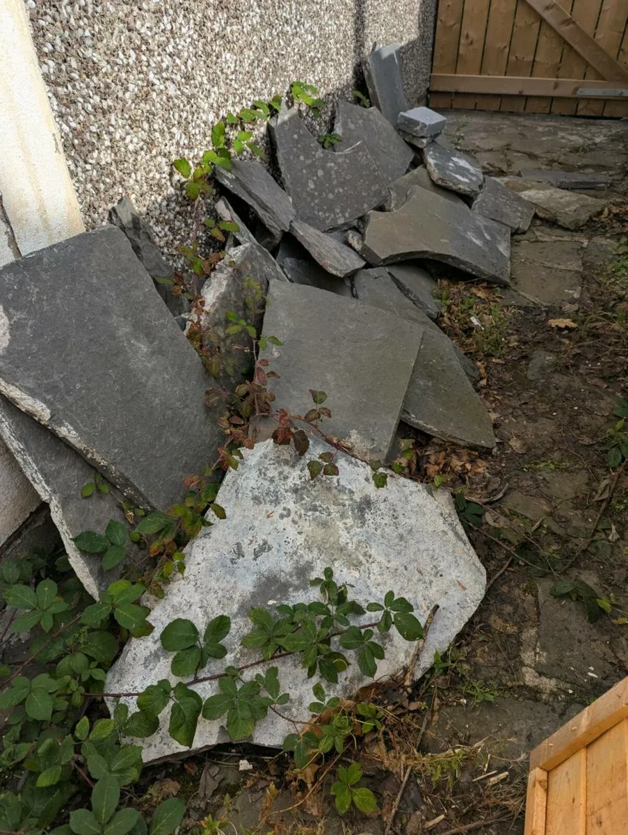 Liscannor stone - Image 3