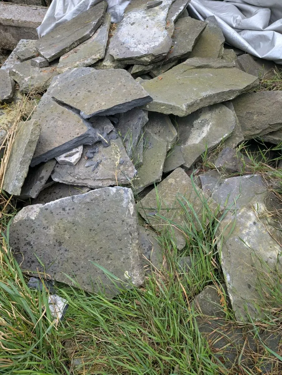 Liscannor stone - Image 2