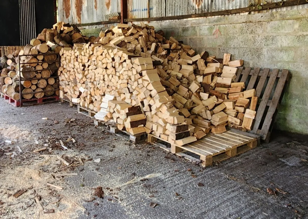 Firewood - Softwood - Spruce/Larch/Cypress - Image 3