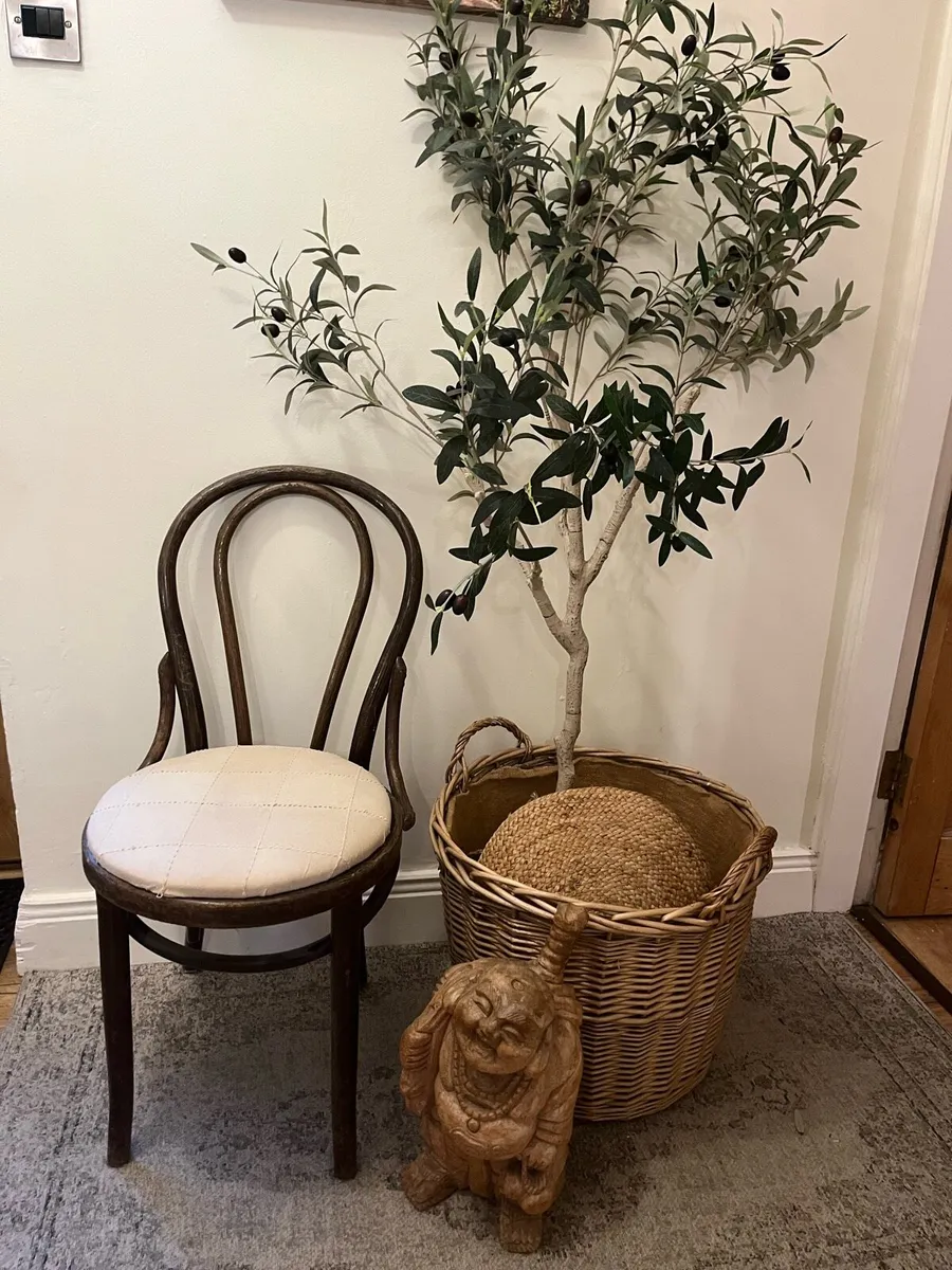 Bentwood chair