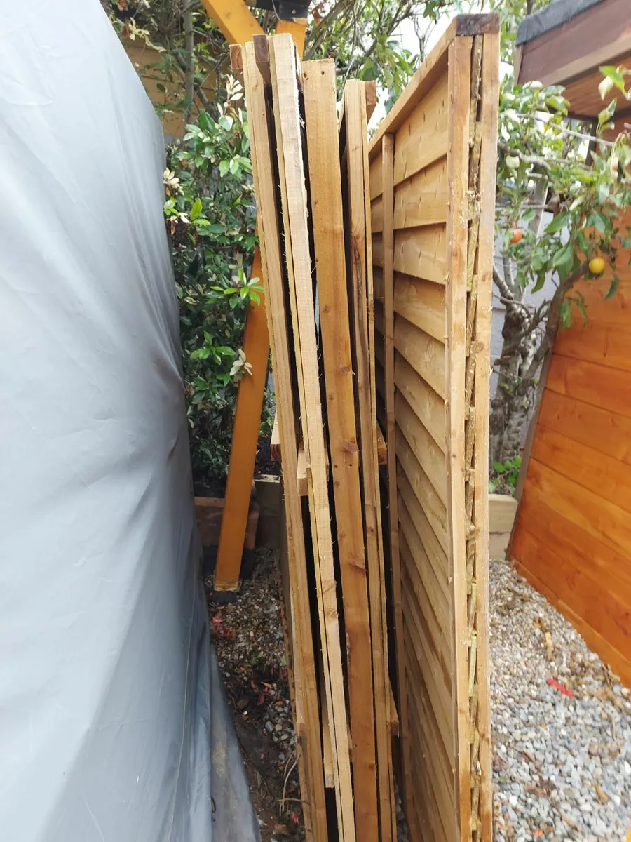 5 New Shiplap Fencing Pressure Treated 6Ft X 6Ft - Image 2