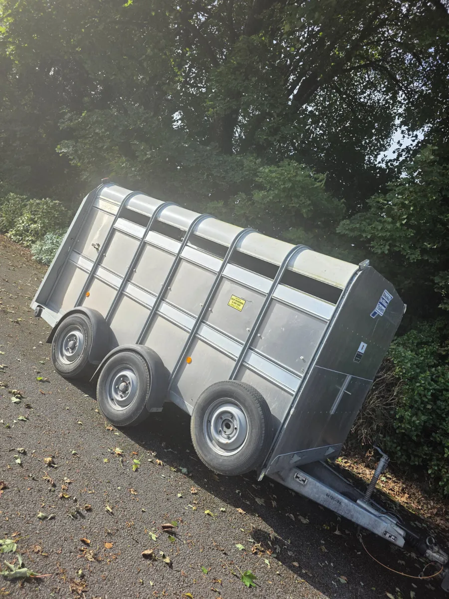 As new 12ft ifor Williams cattle trailer - Image 1
