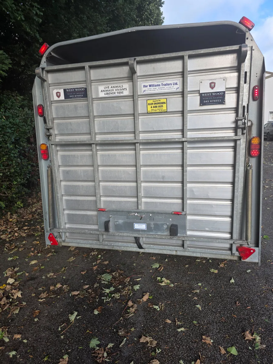 As new 12ft ifor Williams cattle trailer - Image 2