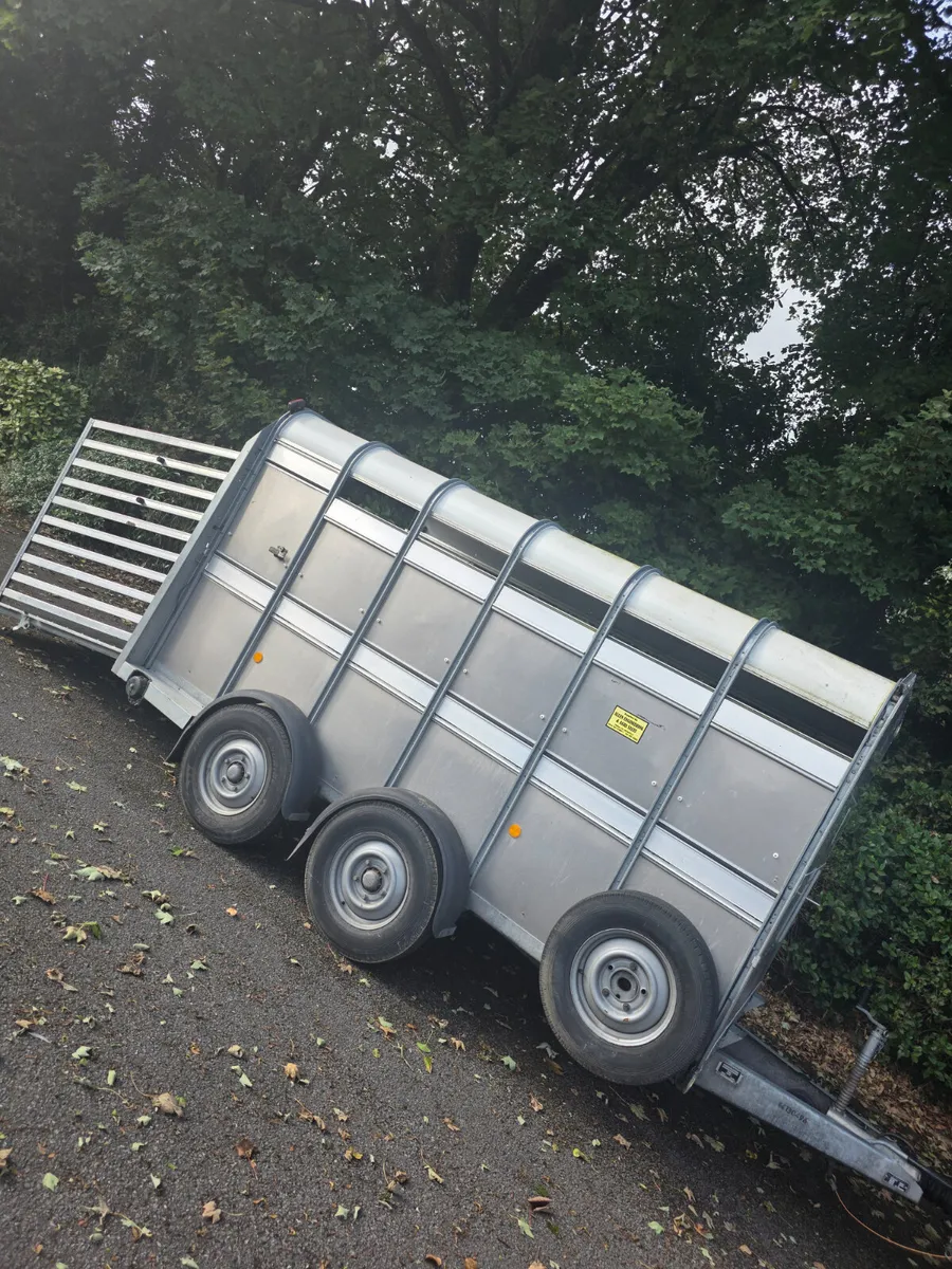 As new 12ft ifor Williams cattle trailer - Image 4