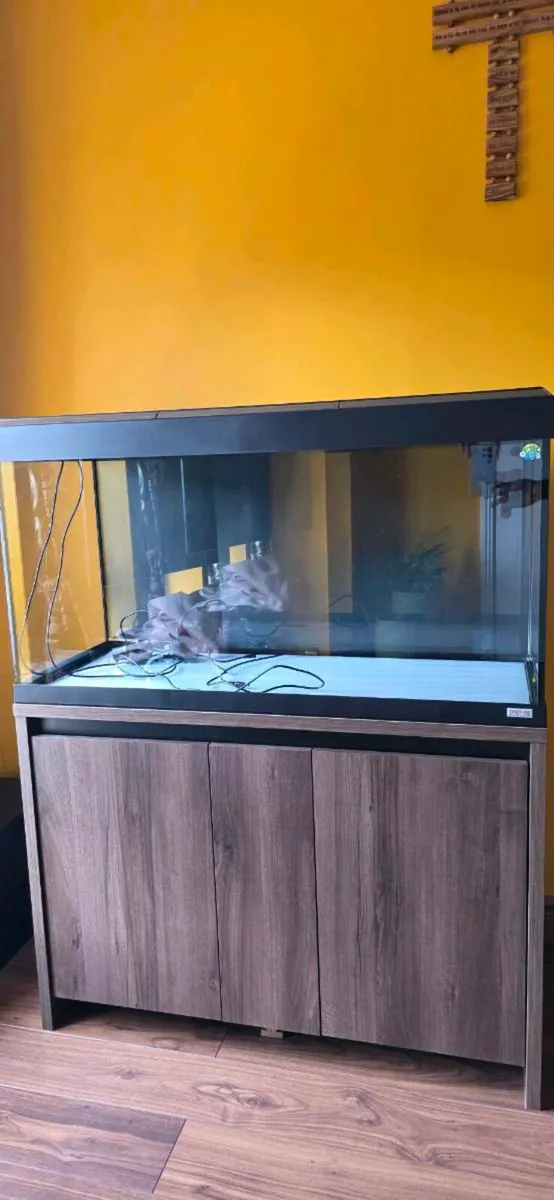 Fluval 200 l aquarium + accessories - Image 1