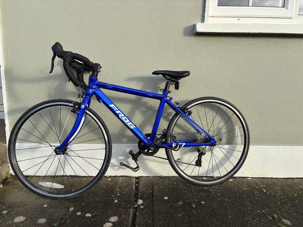 Frog 67 Road Racing Bike - Image 1