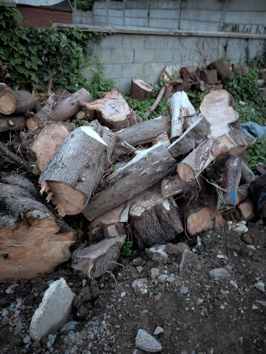 Firewood free to takeaway - Image 1