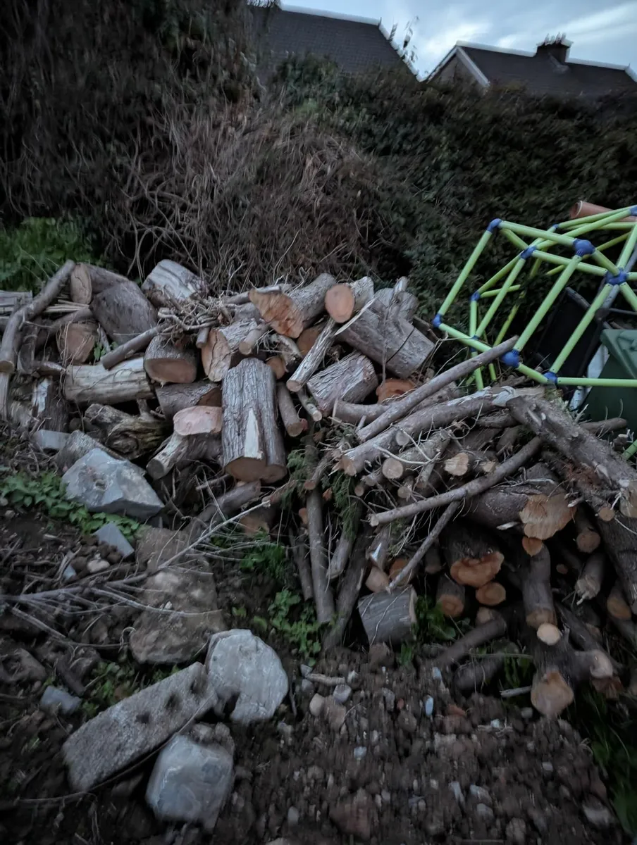 Firewood free to takeaway - Image 2