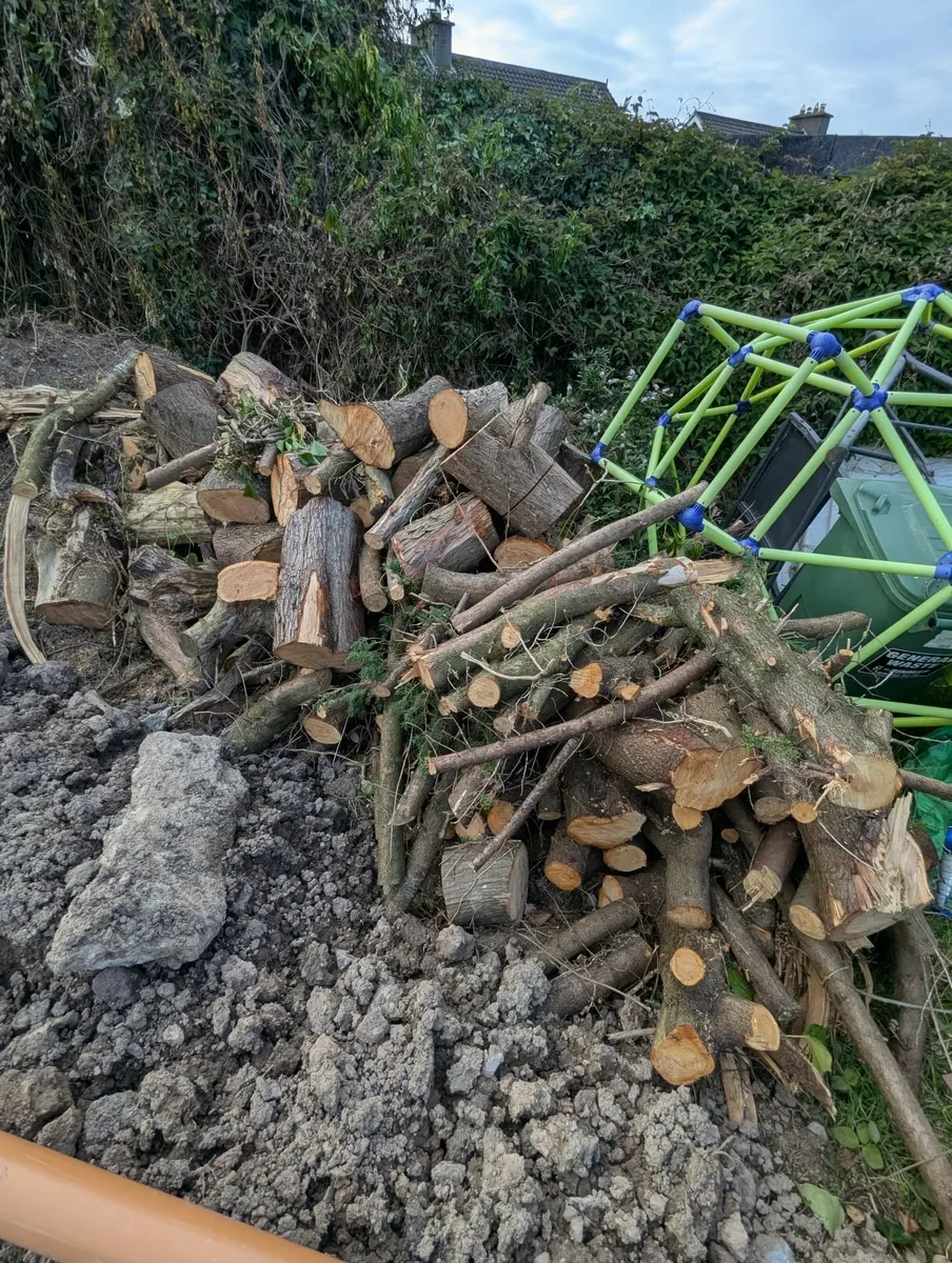 Firewood free to takeaway - Image 3