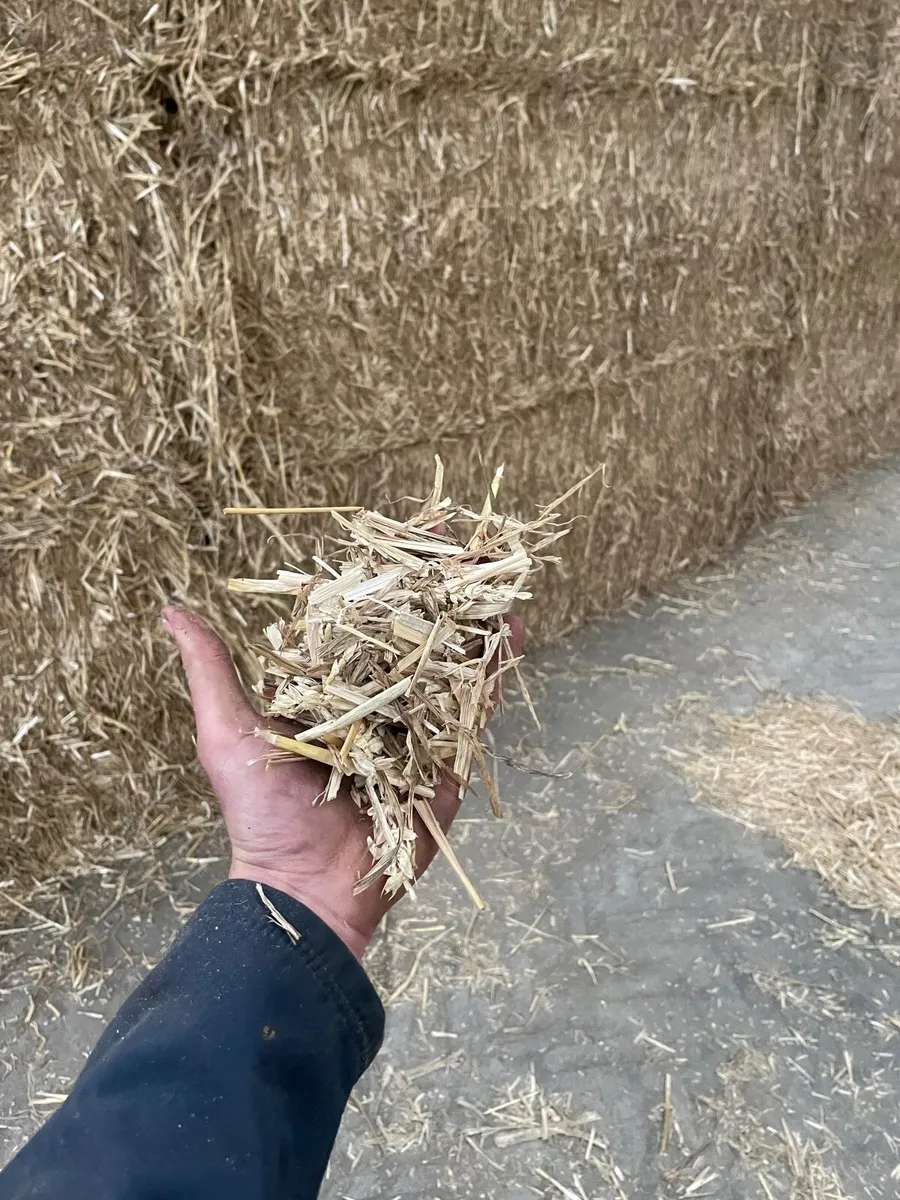 Chopped wheaten straw - Image 3