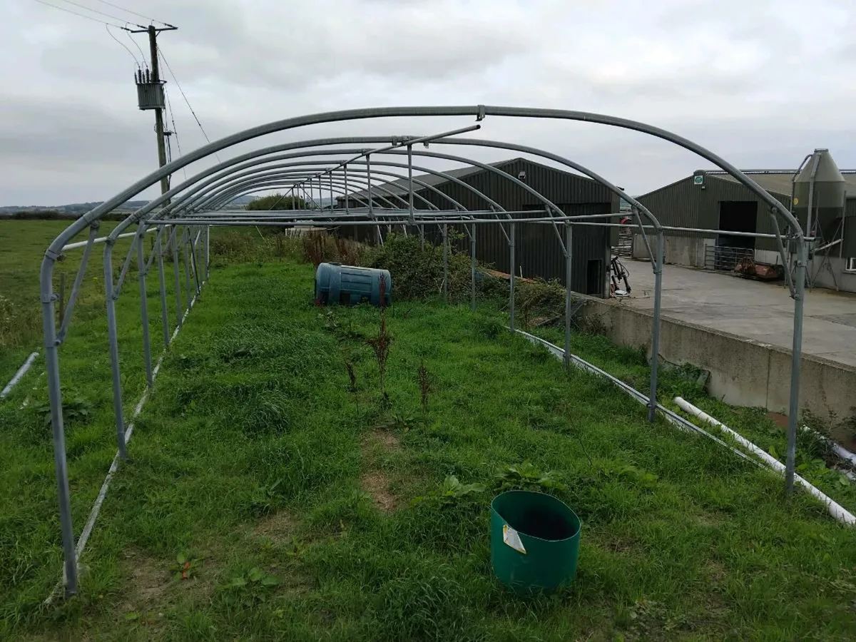 Poly Tunnel - Image 1
