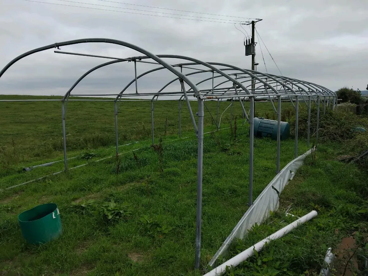 Poly Tunnel - Image 2