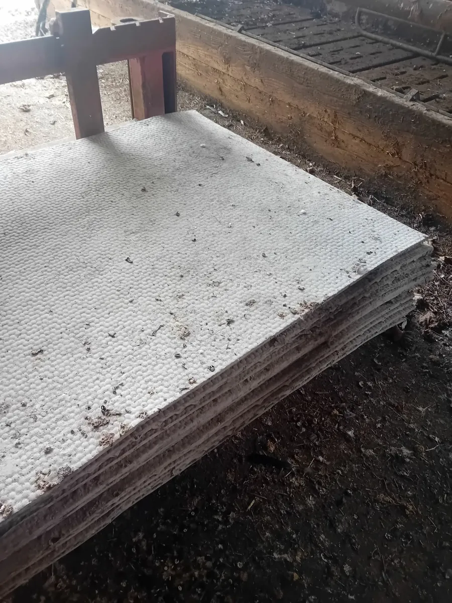 Cow mat's - Image 2