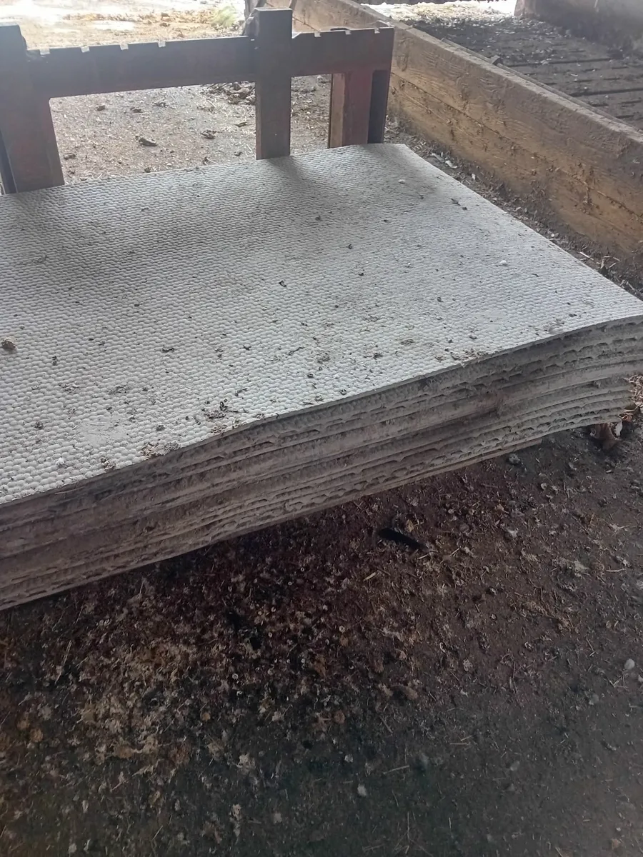 Cow mat's - Image 4