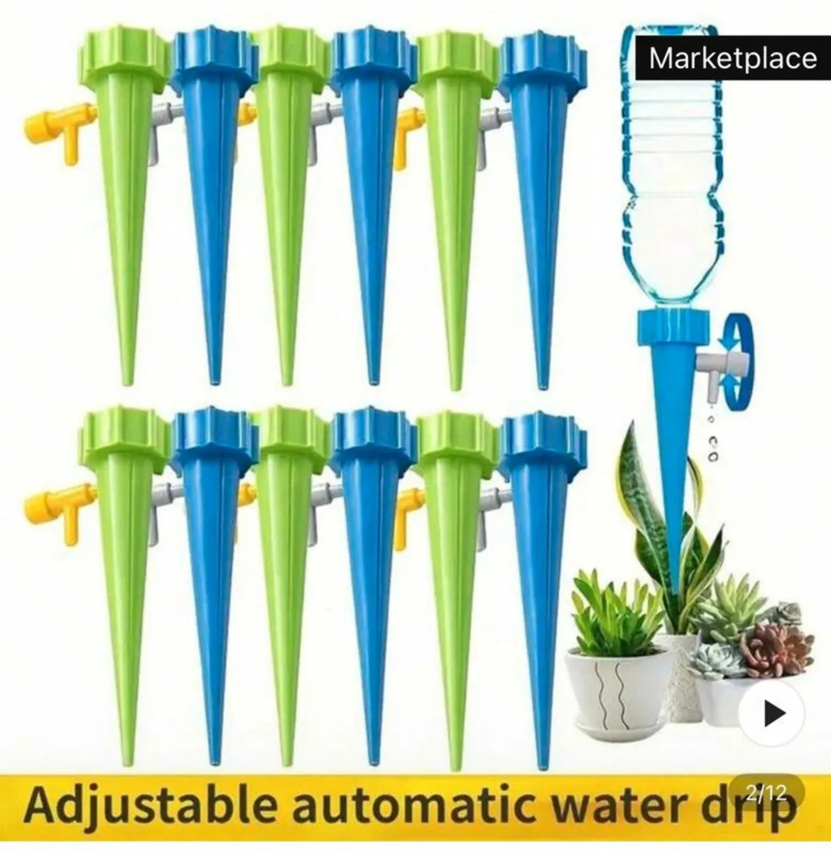 watering plant - Image 1