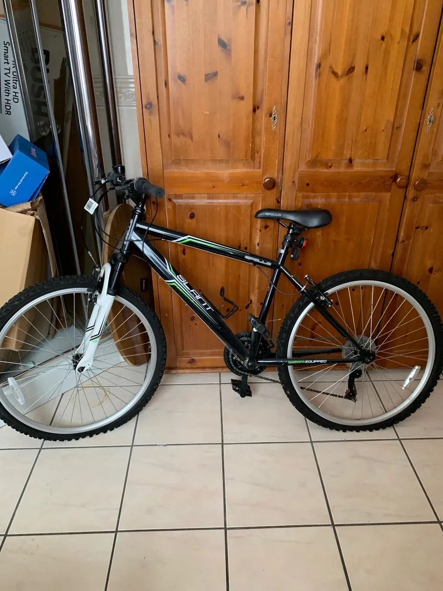 Push bike - Image 1