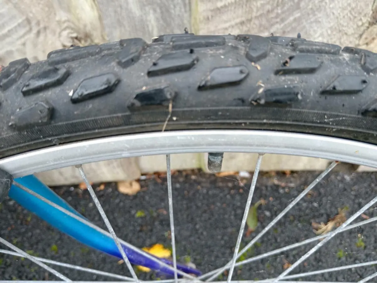 Child's bike - Image 2