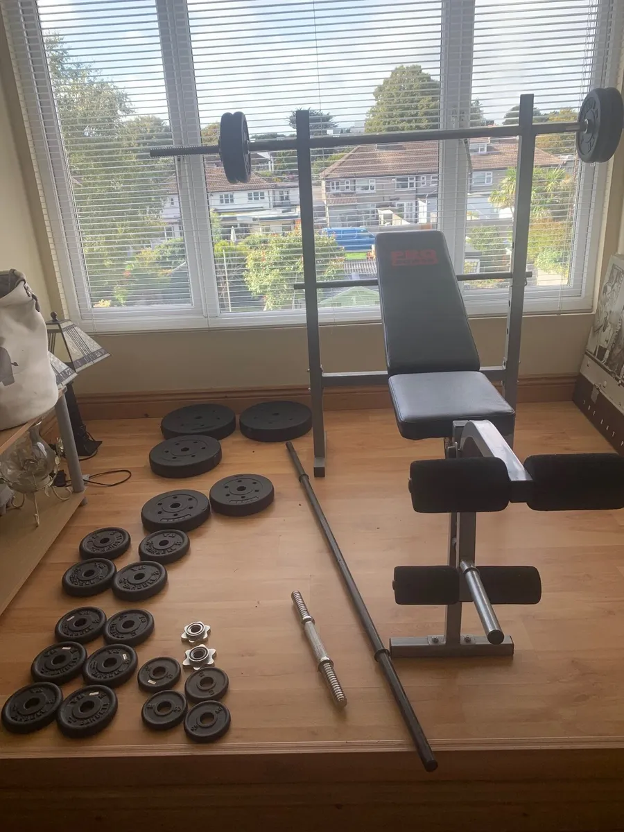 Gym weights and bench - Image 1