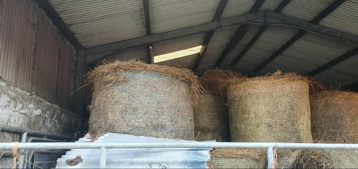 Rush Round Bales - Image 2