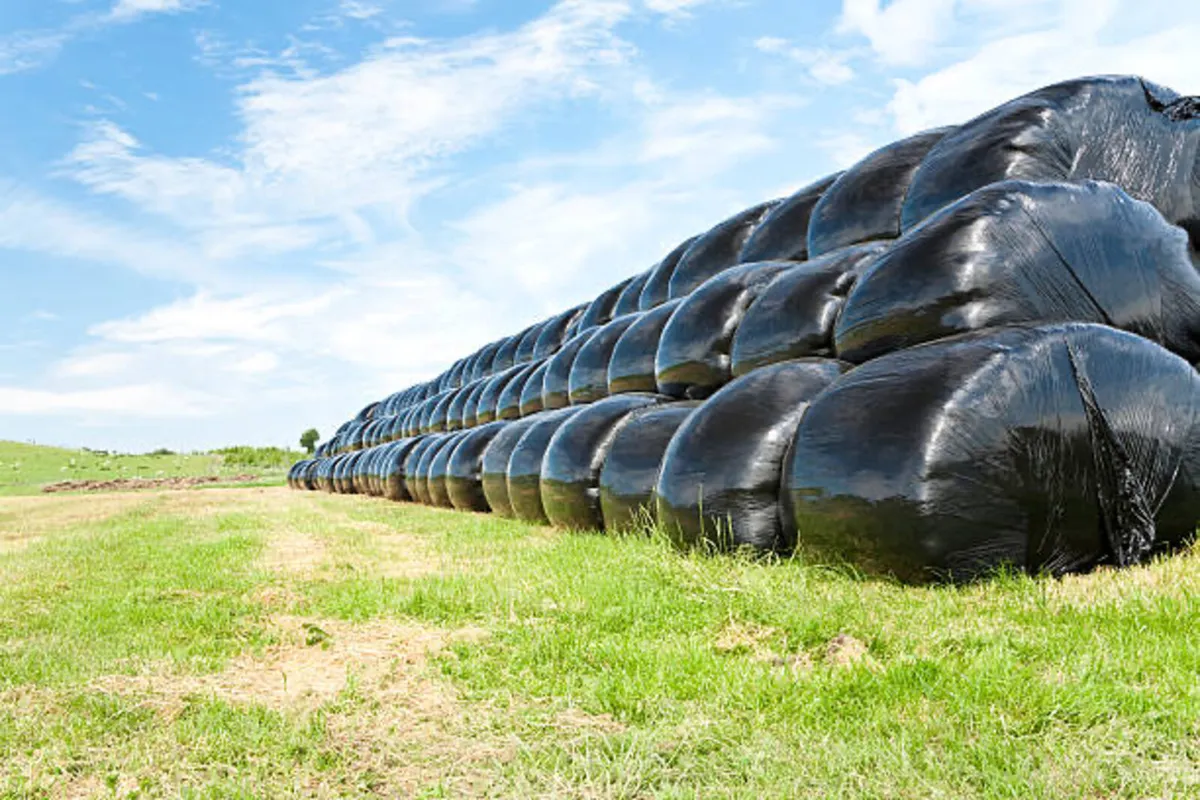Silage