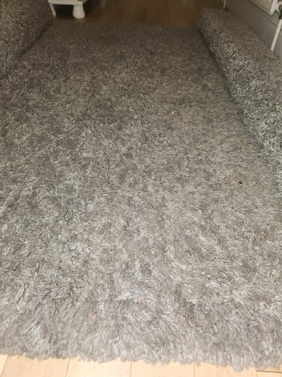 Rug - Image 1