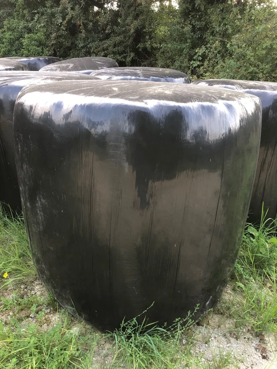 Round bale silage