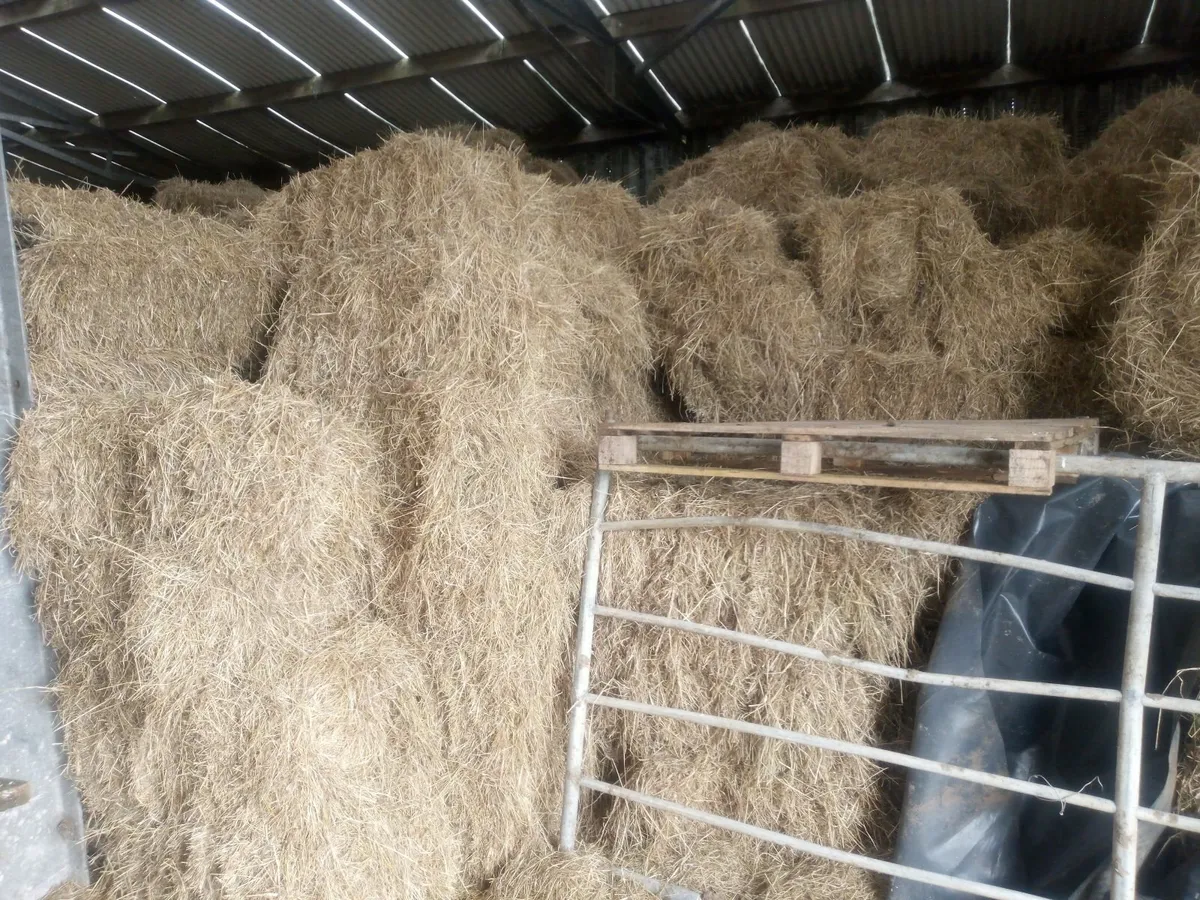 Small square of hay