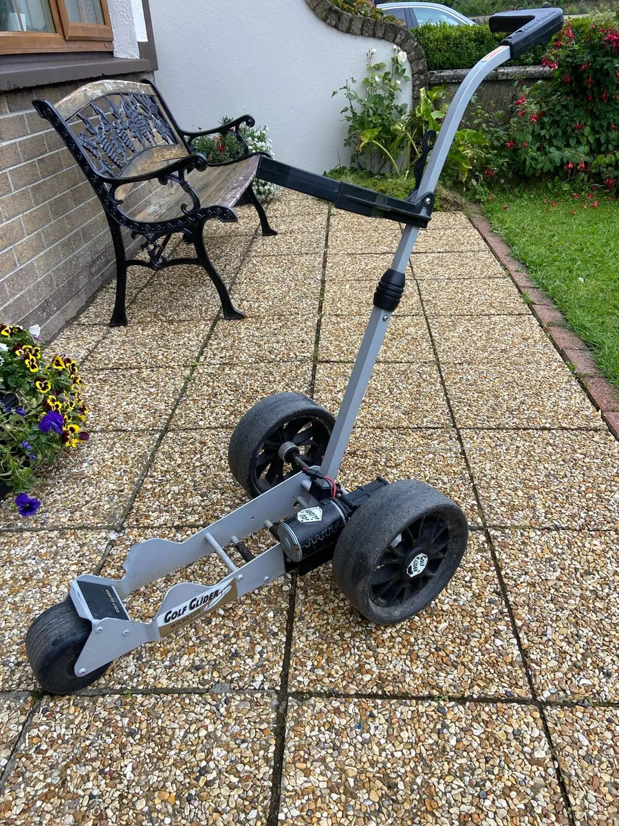 Micro. Lite.   Golf. Glider - Image 1