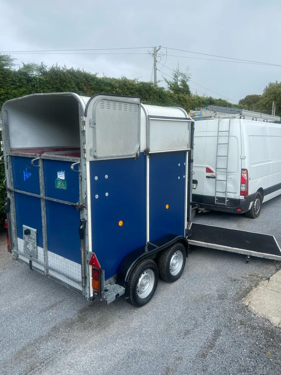 505 iforwilliams horse trailer - Image 4