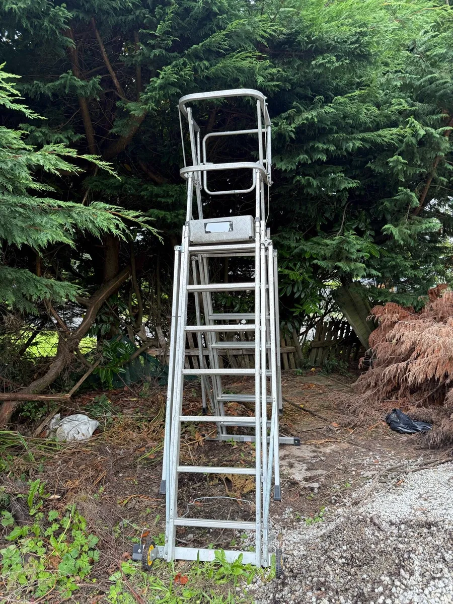Platform ladder - Image 1