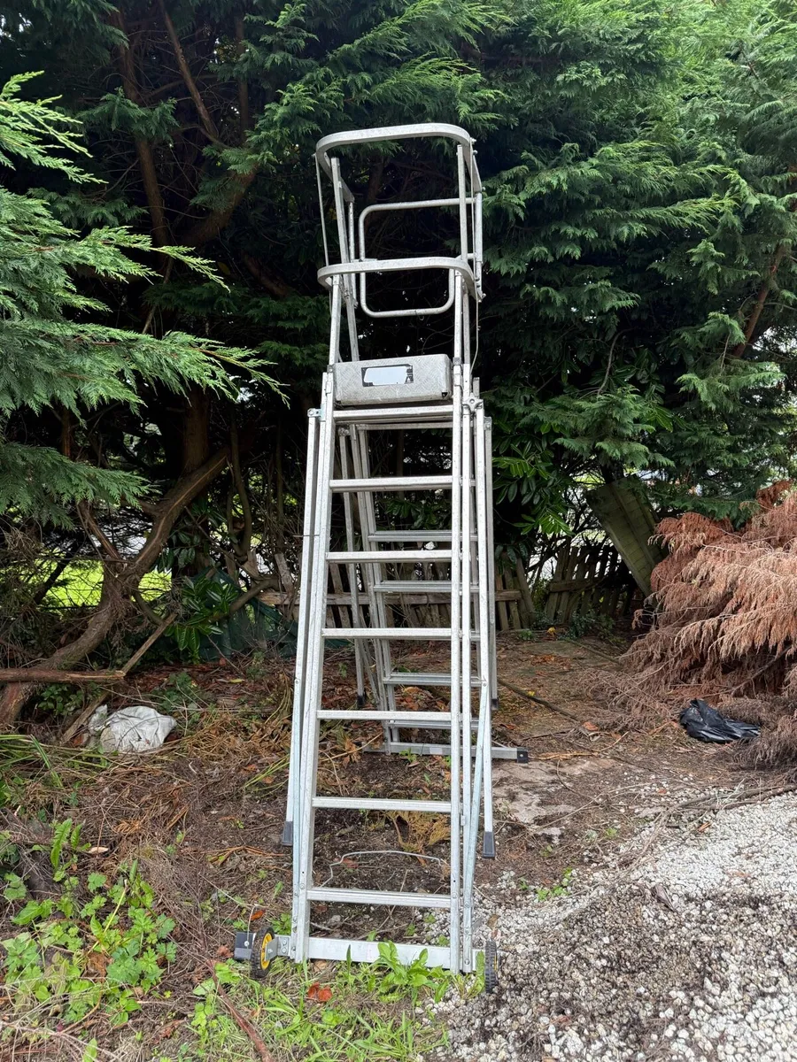 Platform ladder - Image 2
