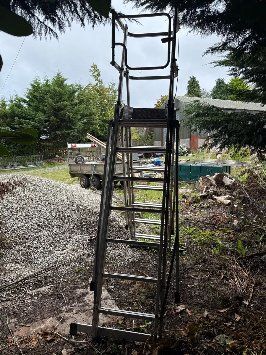 Platform ladder - Image 3