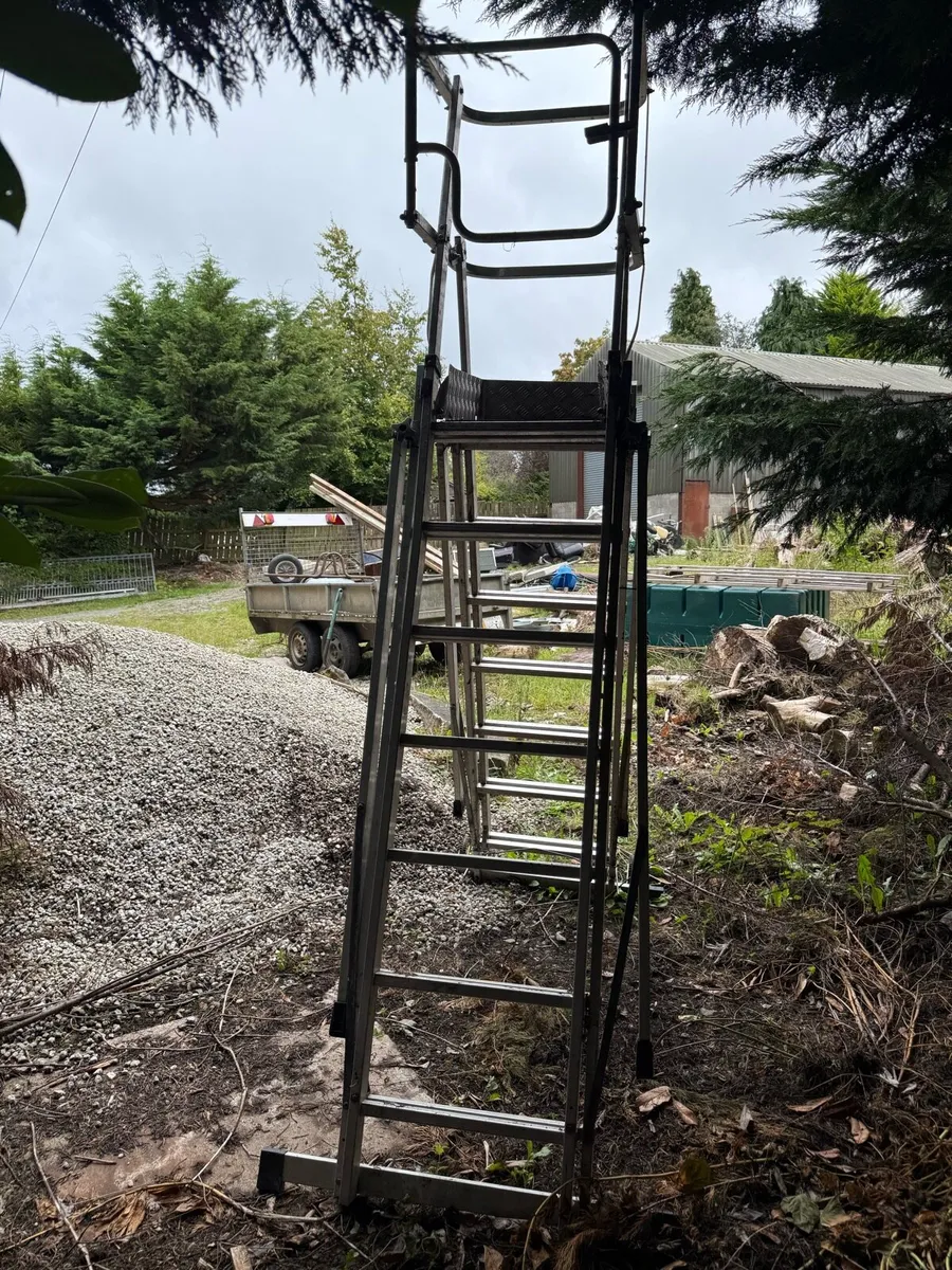 Platform ladder - Image 4