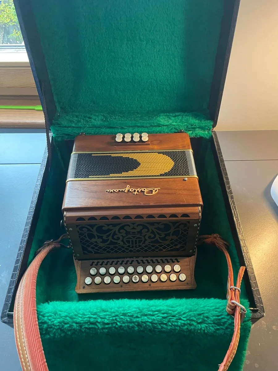 Castagnari Sharron button accordion - Image 3