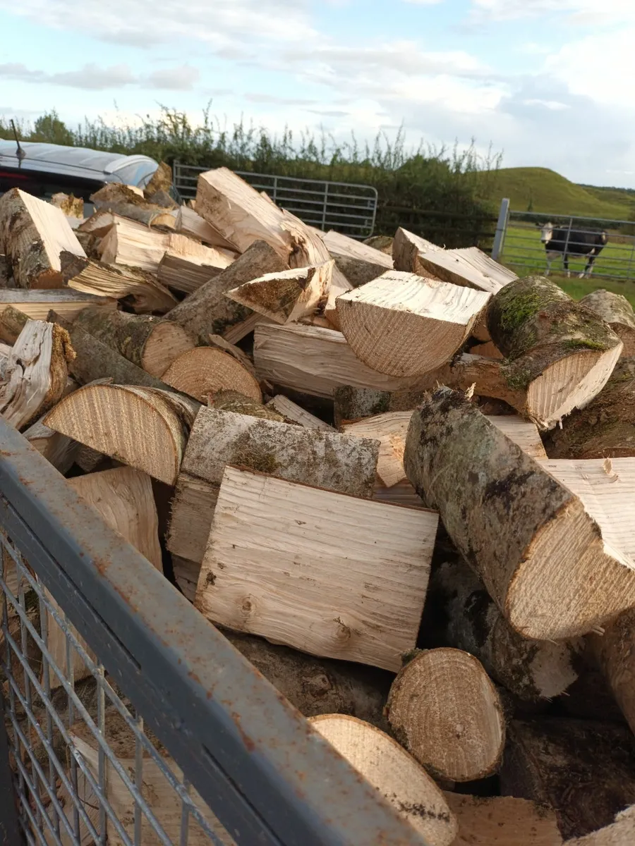 Firewood timber - Image 1
