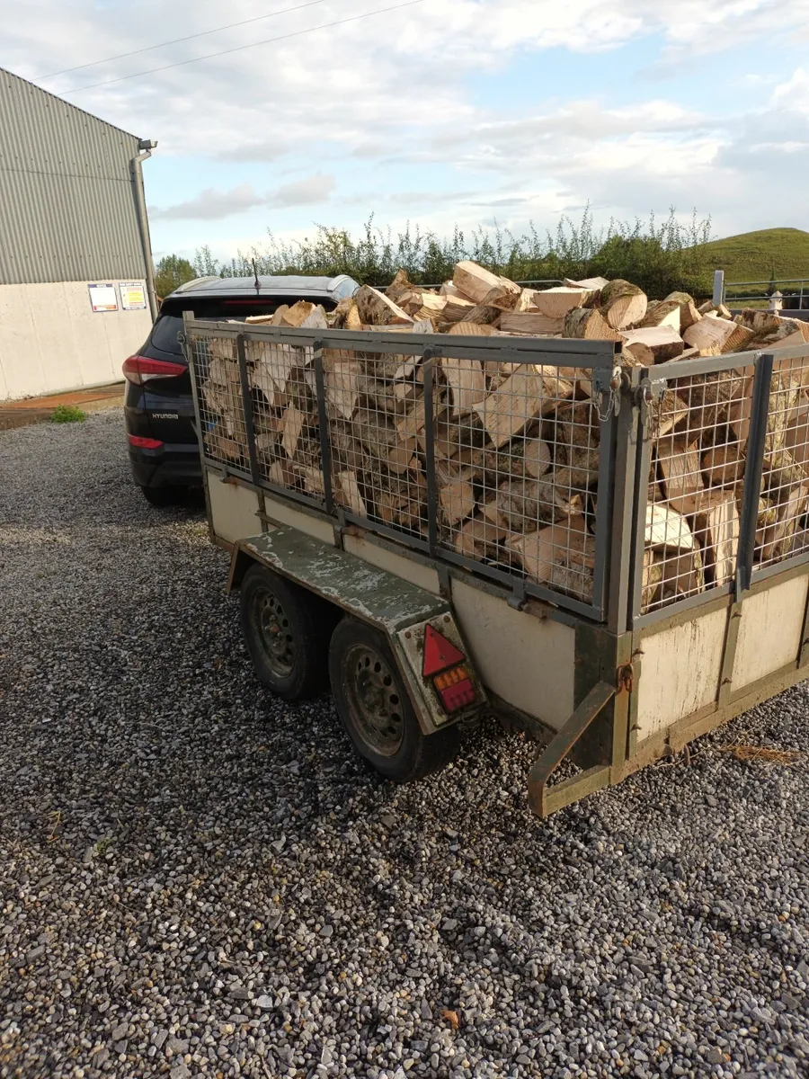 Firewood timber - Image 2