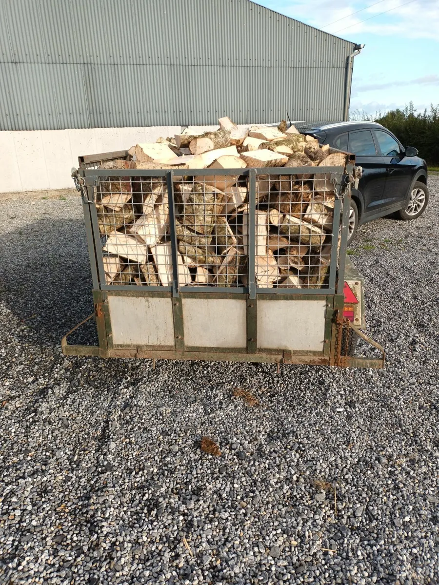 Firewood timber - Image 3