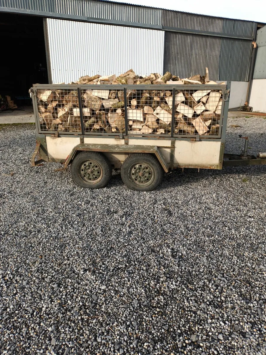 Firewood timber - Image 4