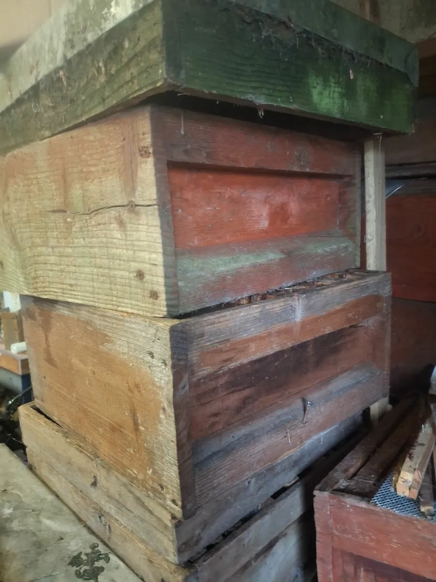 Beehives - Image 1