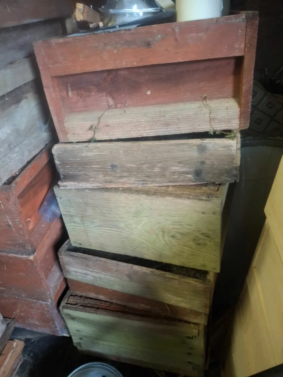 Beehives - Image 2