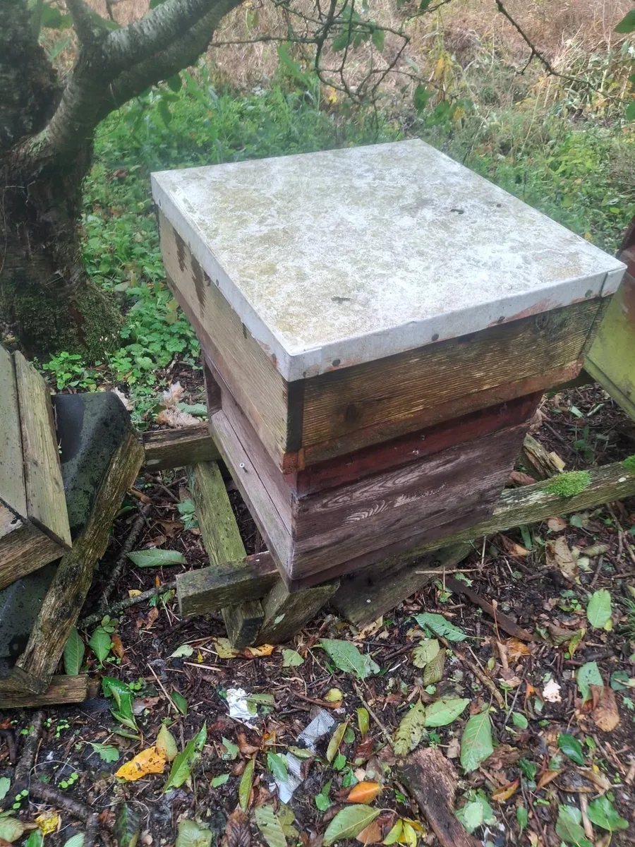 Beehives - Image 3