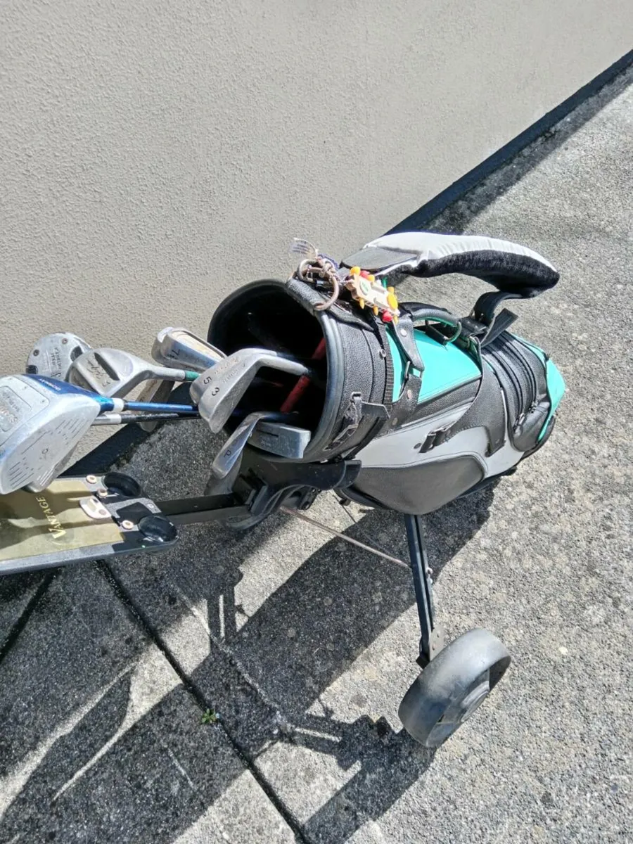 Full set golf clubs and junior set - Image 1