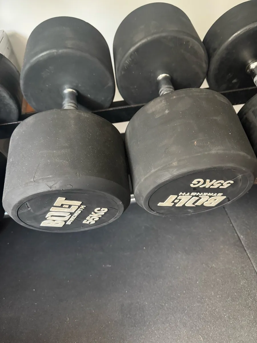 Bolt 55kg dumbbell pair