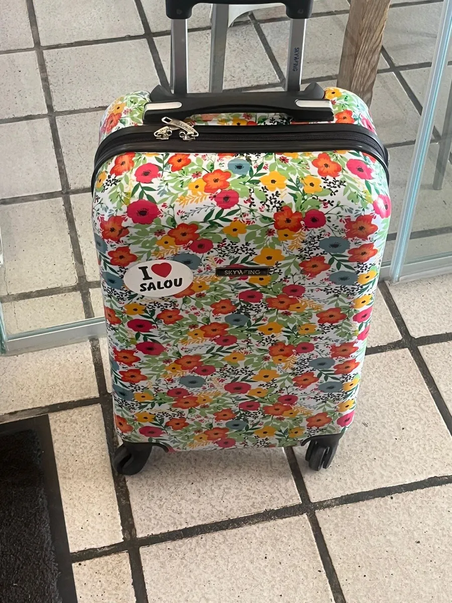 Lost luggage Ryanair flight to Valencia