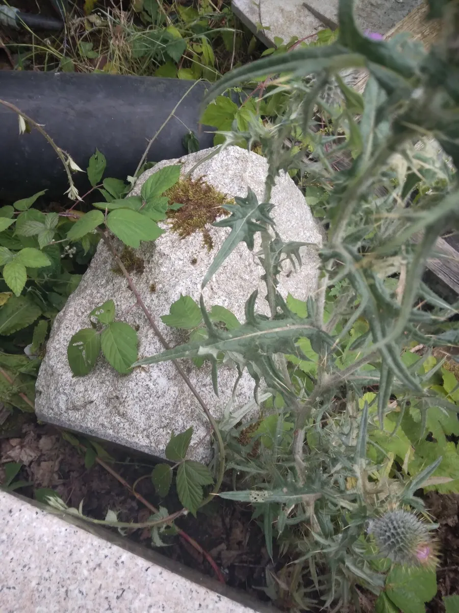 Granite - Image 2